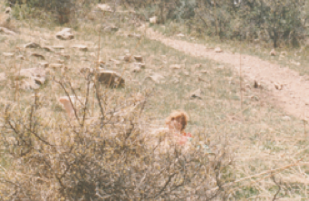 red-haired Sandy sunbathing behind a bush on a grassy and rock-strewn hill near a dirt pathsunbathing and bats